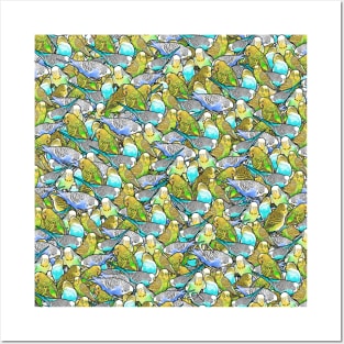 Bright Colorful Budgie Pattern Posters and Art